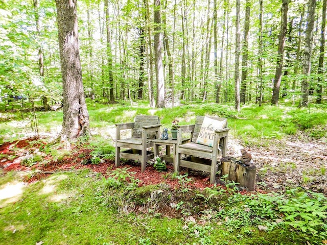 N12366 Chisum Trl, Athelstane, WI 54104 - view of yard featuring a view of trees