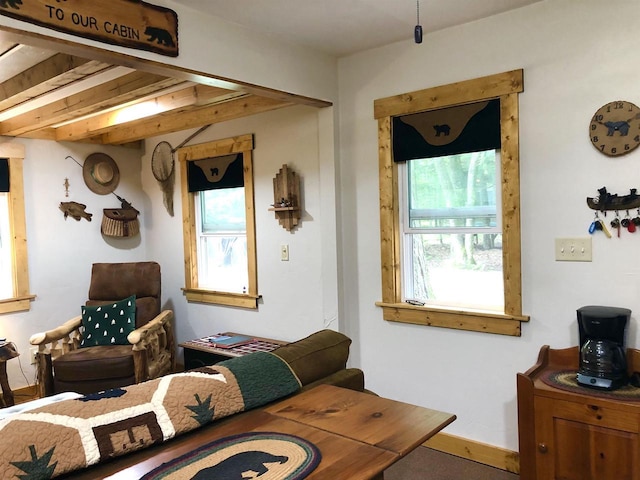 W15036 Poachers Run Ln, Athelstane, WI 54101 - living room featuring healthy amount of natural light