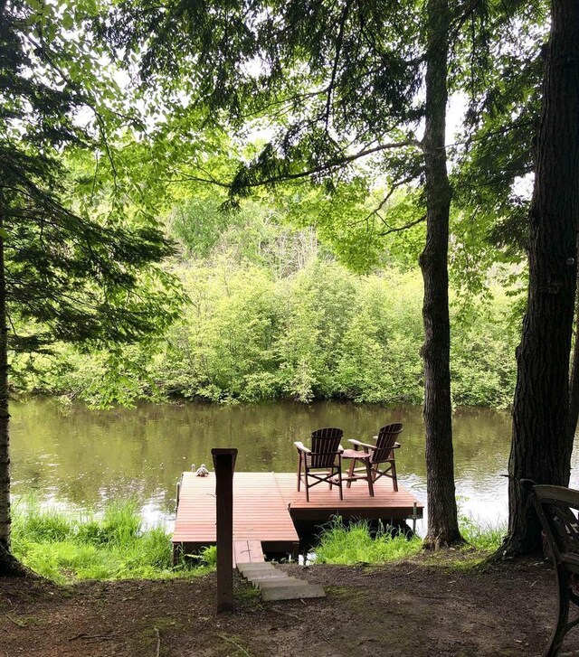 W15036 Poachers Run Ln, Athelstane, WI 54101 - dock featuring a water view and a forest view