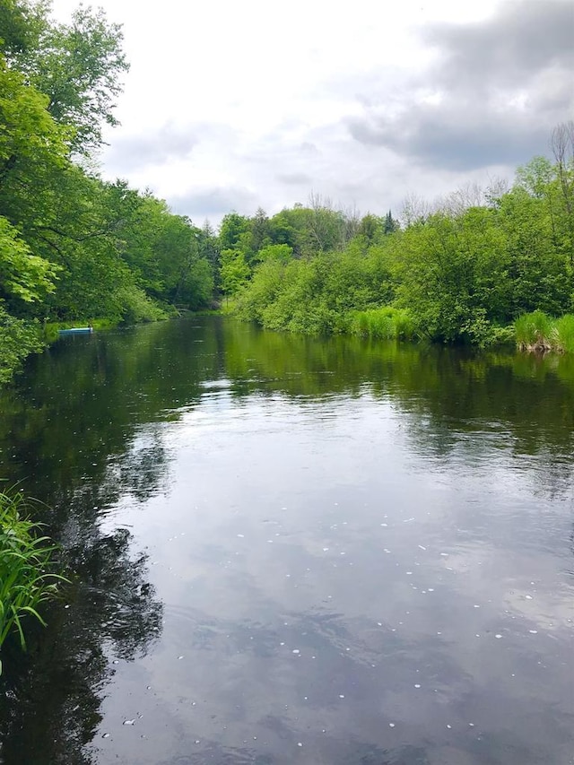 W15036 Poachers Run Ln, Athelstane, WI 54101 - water view featuring a forest