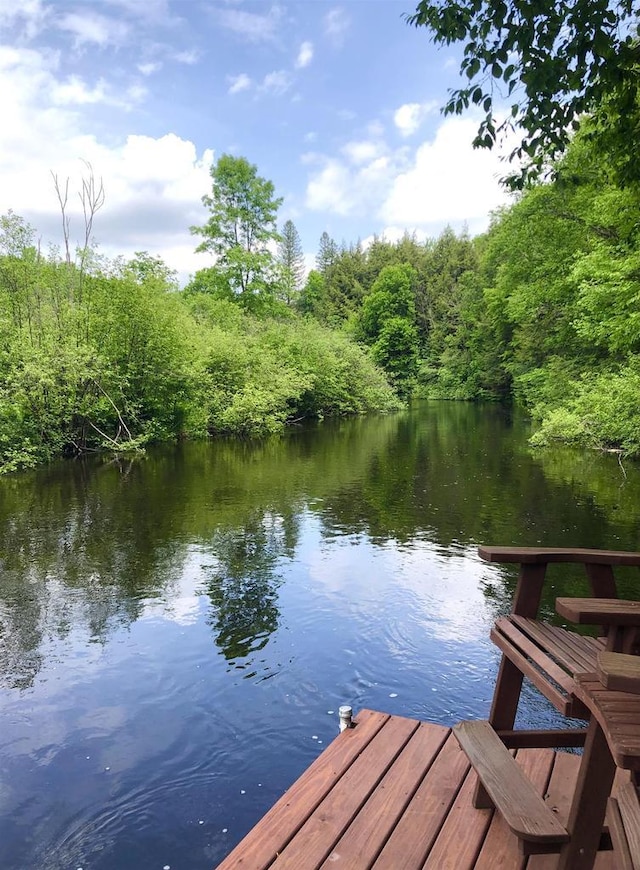 W15036 Poachers Run Ln, Athelstane, WI 54101 - dock area featuring a water view