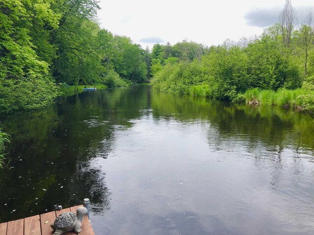 W15036 Poachers Run Ln, Athelstane, WI 54101 - water view with a forest