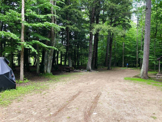 W15036 Poachers Run Ln, Athelstane, WI 54101 - view of street