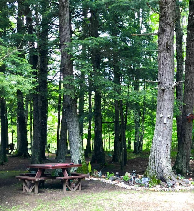 W15036 Poachers Run Ln, Athelstane, WI 54101 - view of property's community