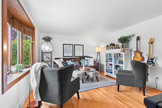 625 N Winnebago St, De Pere, WI 54115 - living room featuring wood finished floors