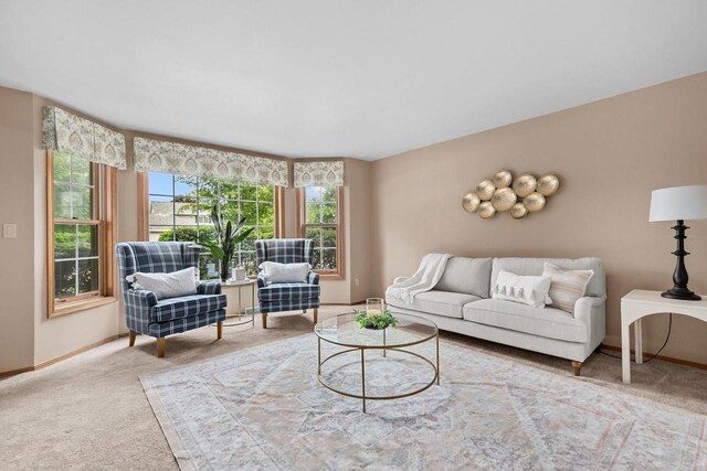 2939 W Roselawn Dr, Appleton, WI 54914 - living room featuring baseboards and carpet