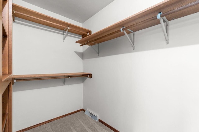 2939 W Roselawn Dr, Appleton, WI 54914 - spacious closet with carpet