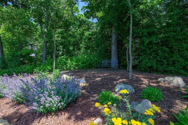 1734 Arthurs Pass, Oconomowoc, WI 53066 - view of yard
