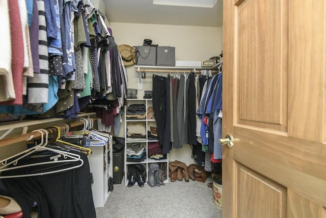9245 S 54th St, Franklin, WI 53132 - walk in closet featuring carpet flooring