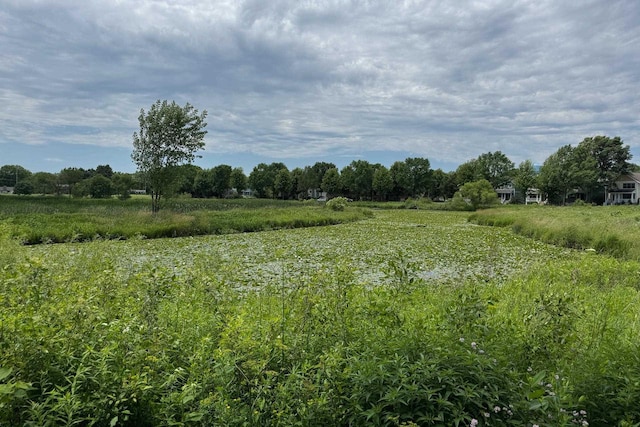 6846 Frank Lloyd Wright Ave, Middleton, WI 53562 - view of nature with rural landscape