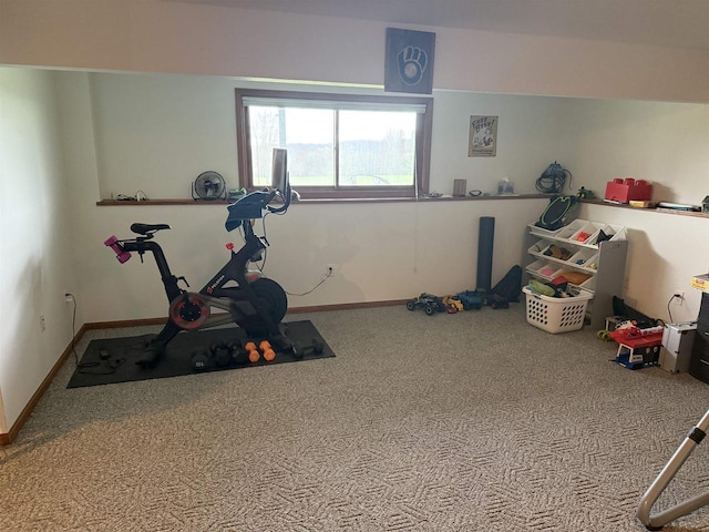 38630 Golf View Dr, Prairie Du Chien, WI 53821 - workout area with carpet flooring and baseboards