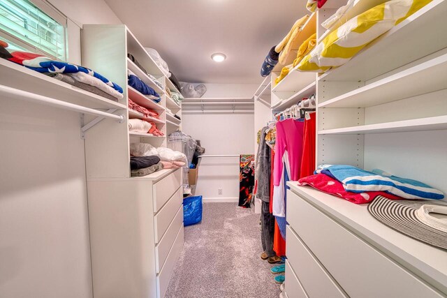 915 Mariane Ter, Lake Geneva, WI 53147 - spacious closet featuring carpet flooring
