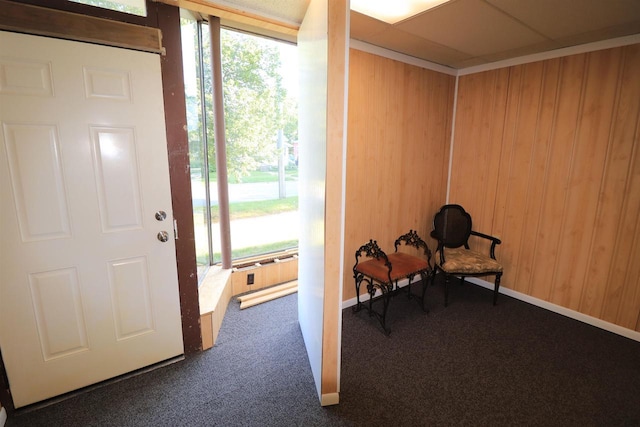 1503 St Lawrence Ave, Beloit, WI 53511 - foyer entrance with healthy amount of natural light, dark carpet, and wood walls