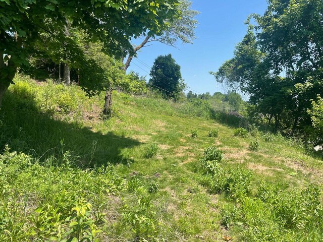 LT1 Johnson St, Port Washington, WI 53074