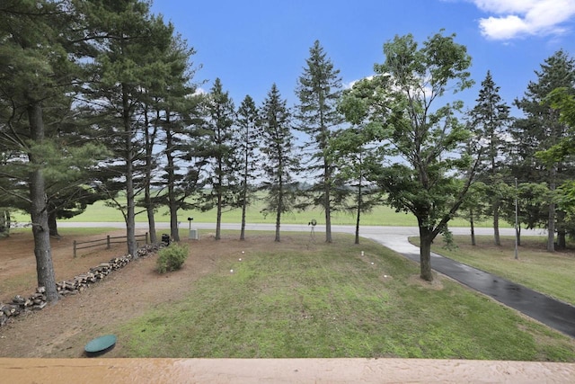 W2726 Marion St, Neshkoro, WI 54960 - view of yard