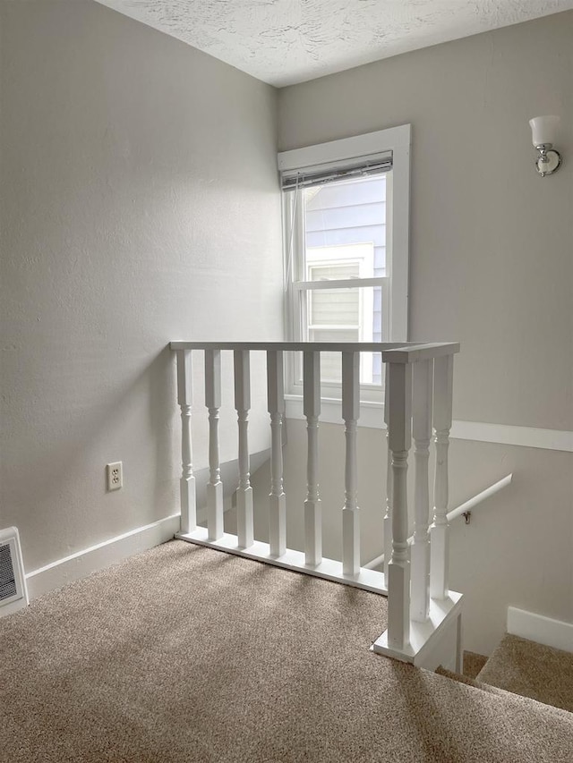 133 W 16th Ave, Oshkosh, WI 54902 - stairs featuring carpet and a textured ceiling