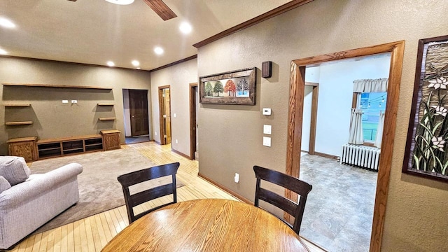 553 W 17th Ave, Oshkosh, WI 54902 - living room with radiator heating unit, a textured wall, light wood-type flooring, a ceiling fan, and ornamental molding
