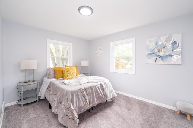 11114 8th Ave, Pleasant Prairie, WI 53158 - bedroom featuring carpet flooring and multiple windows