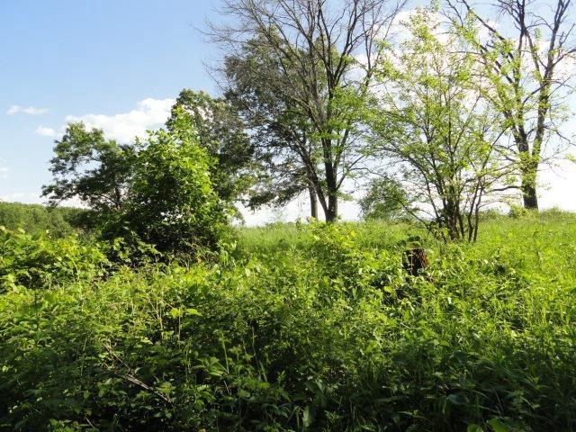 LOT26 Lalor Ln, Montello, WI 53949