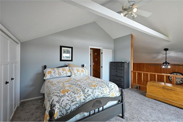 33516 No Mans Trl, Minong, WI 54859 - carpeted bedroom featuring lofted ceiling and a closet