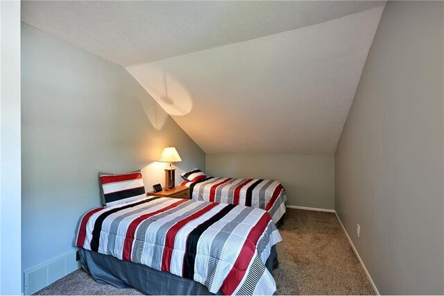 33516 No Mans Trl, Minong, WI 54859 - bedroom featuring carpet and vaulted ceiling
