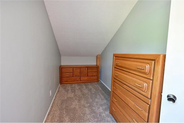 33516 No Mans Trl, Minong, WI 54859 - additional living space with dark colored carpet, lofted ceiling, and a textured ceiling
