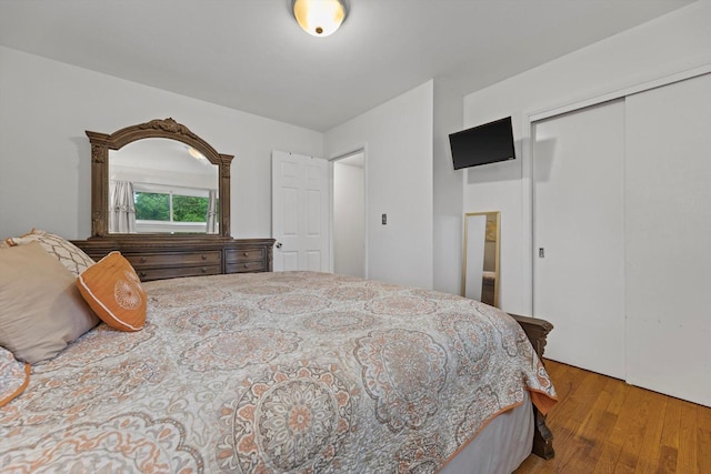 8088 N 65th St, Brown Deer, WI 53223 - bedroom with hardwood / wood-style floors and a closet