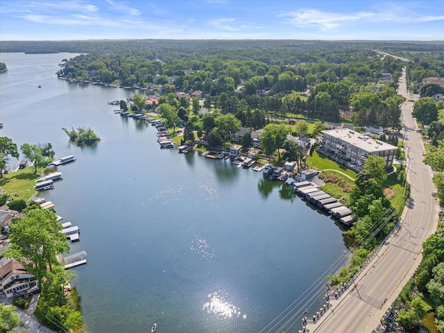 N52W35002 Lake Dr Unit 302, Okauchee, WI 53069 - bird's eye view of a nearby body of water and a forest