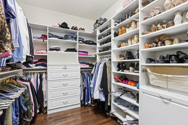 16885 Lake Rd Unit A, Brookfield, WI 53005 - walk in closet featuring dark wood-style floors