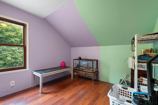 1418 W Washington St, Appleton, WI 54914 - bedroom with wood finished floors and lofted ceiling