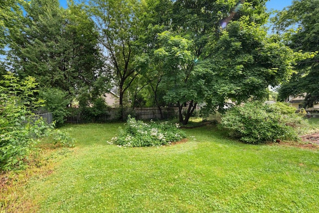1418 W Washington St, Appleton, WI 54914 - view of yard
