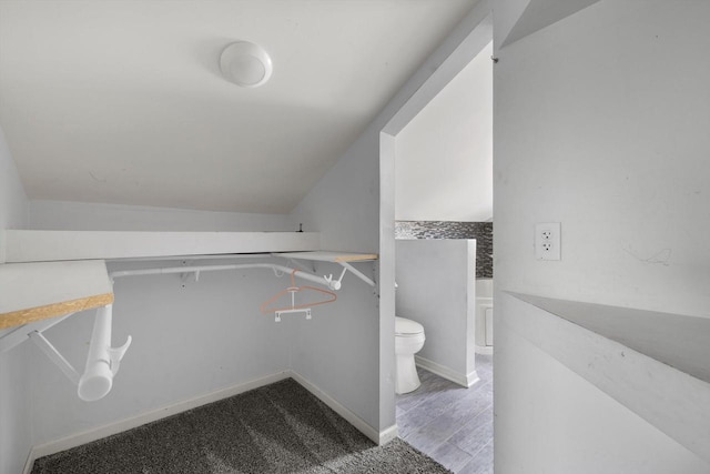 513 61st St, Kenosha, WI 53143 - spacious closet featuring lofted ceiling and carpet floors