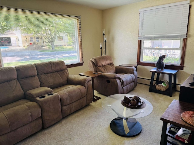1117 21st St, Monroe, WI 53566 - carpeted living area featuring a textured wall and plenty of natural light