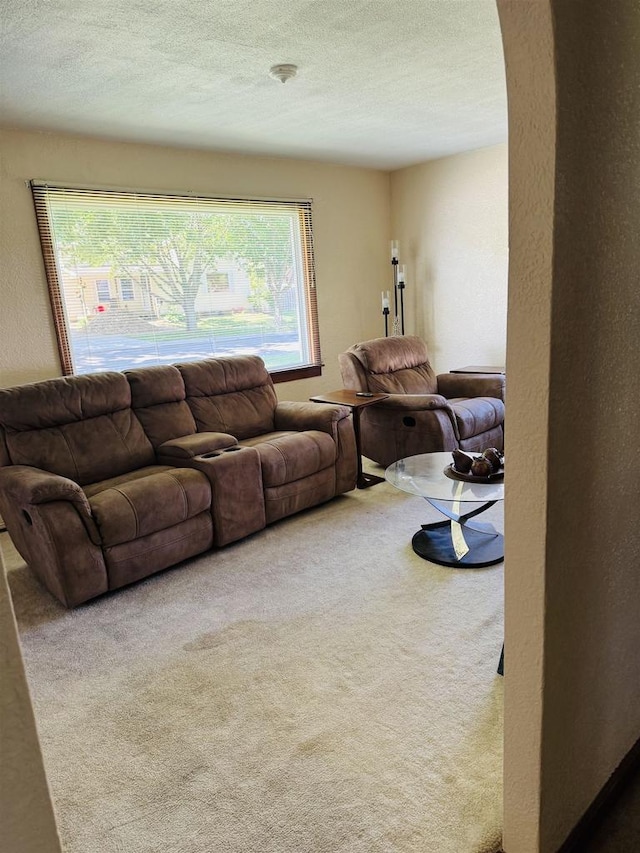 1117 21st St, Monroe, WI 53566 - living room featuring carpet, a textured wall, a textured ceiling, and arched walkways