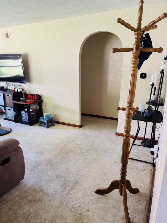 1117 21st St, Monroe, WI 53566 - carpeted living area featuring arched walkways and a textured wall