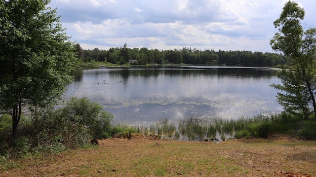 N16716 N Lake Ln, Pembine, WI 54156