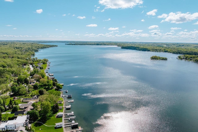 W296N2978 Franciscan Rd, Pewaukee, WI 53072 - water view featuring a forest