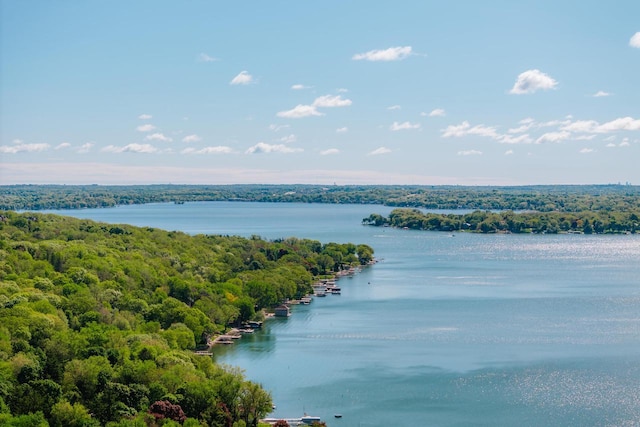 W296N2978 Franciscan Rd, Pewaukee, WI 53072 - water view with a forest
