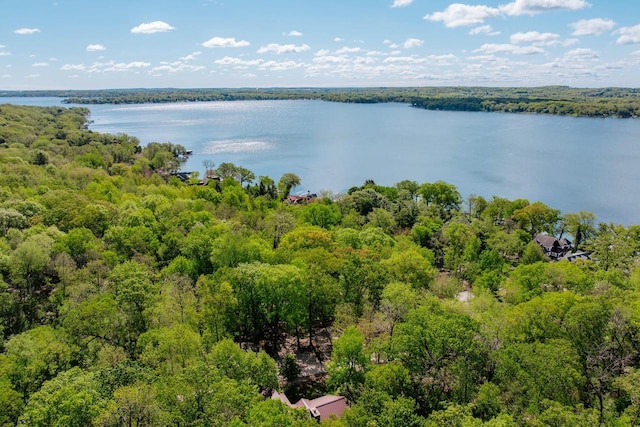 W296N2978 Franciscan Rd, Pewaukee, WI 53072 - water view with a forest