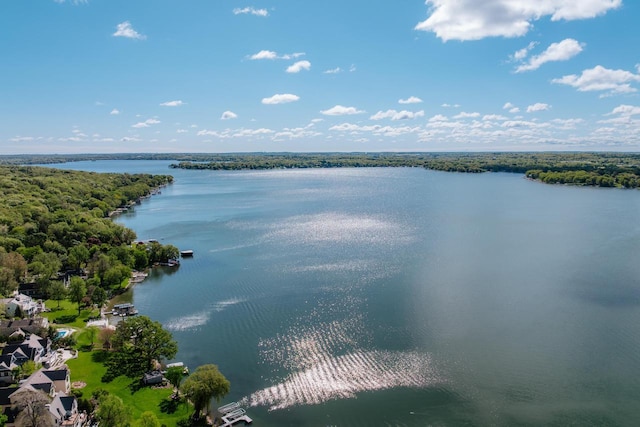 W296N2978 Franciscan Rd, Pewaukee, WI 53072 - water view featuring a forest