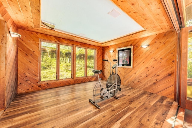 W296N2978 Franciscan Rd, Pewaukee, WI 53072 - workout area featuring wood walls and wood finished floors