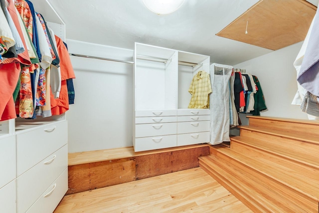 W296N2978 Franciscan Rd, Pewaukee, WI 53072 - spacious closet featuring light wood-style flooring