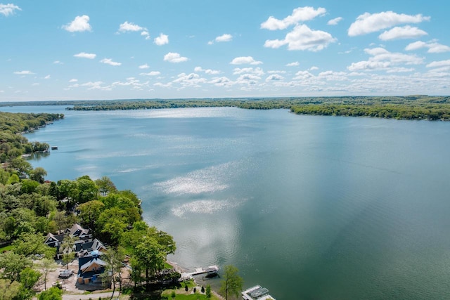 W296N2978 Franciscan Rd, Pewaukee, WI 53072 - aerial view of a nearby body of water