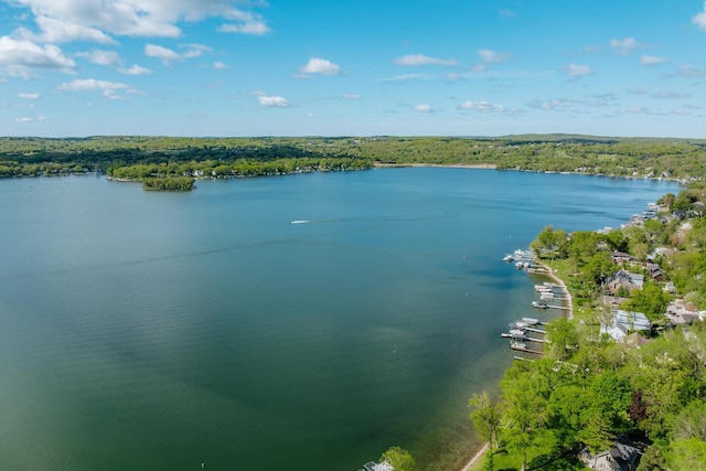 W296N2978 Franciscan Rd, Pewaukee, WI 53072 - aerial view of a large body of water and a heavily wooded area