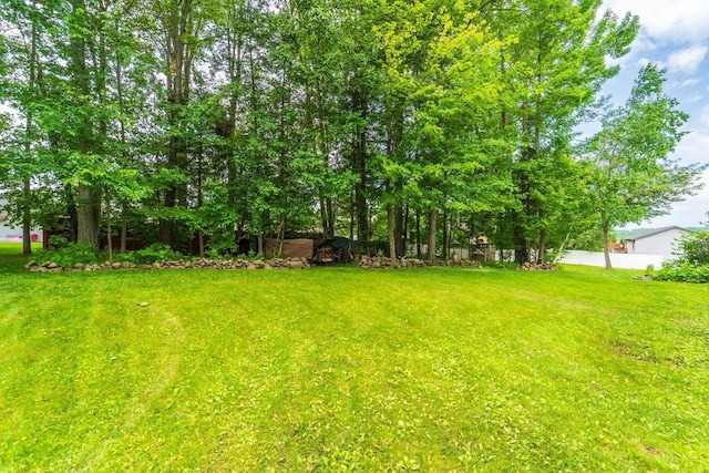 6615 Cavin Dr, Wausau, WI 54401 - view of yard