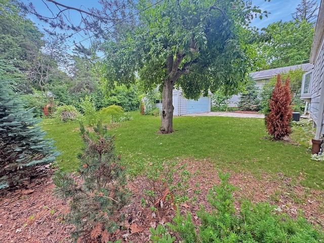 4958 S 20th St, Milwaukee, WI 53221 - view of grassy yard with driveway and an outbuilding