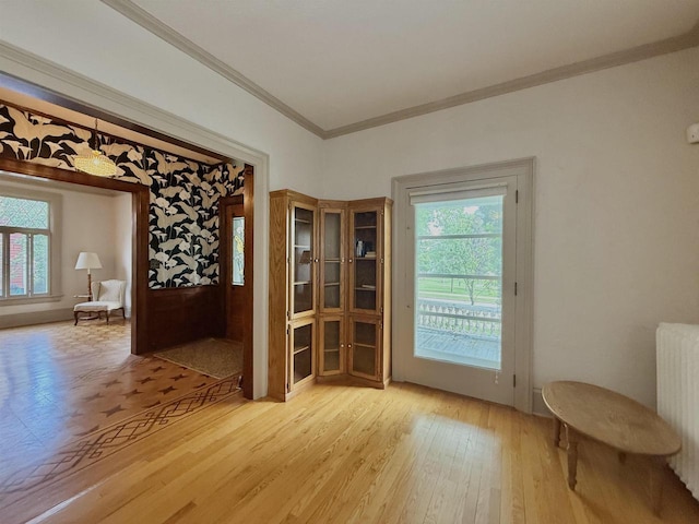 195 E Park Ave, Berlin, WI 54923 - dining area with light wood-style floors, radiator heating unit, and ornamental molding