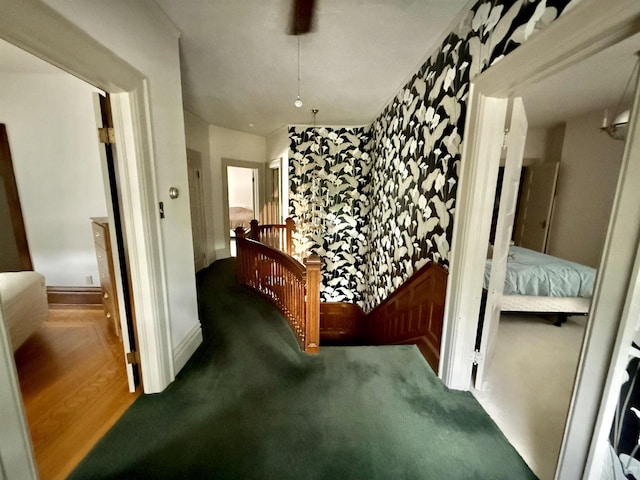 195 E Park Ave, Berlin, WI 54923 - hallway featuring an upstairs landing and carpet flooring