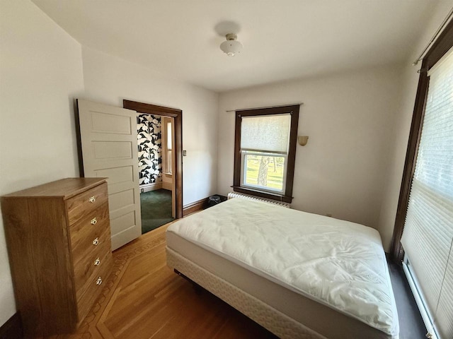 195 E Park Ave, Berlin, WI 54923 - bedroom featuring multiple windows and wood finished floors