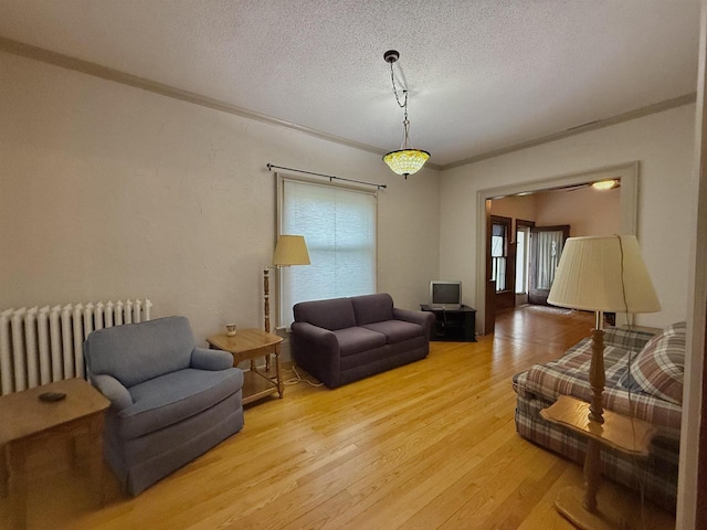 195 E Park Ave, Berlin, WI 54923 - living area featuring radiator heating unit, a textured ceiling, light wood-type flooring, and ornamental molding